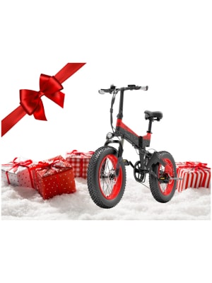 Vianočný darček - elektrický bicykel