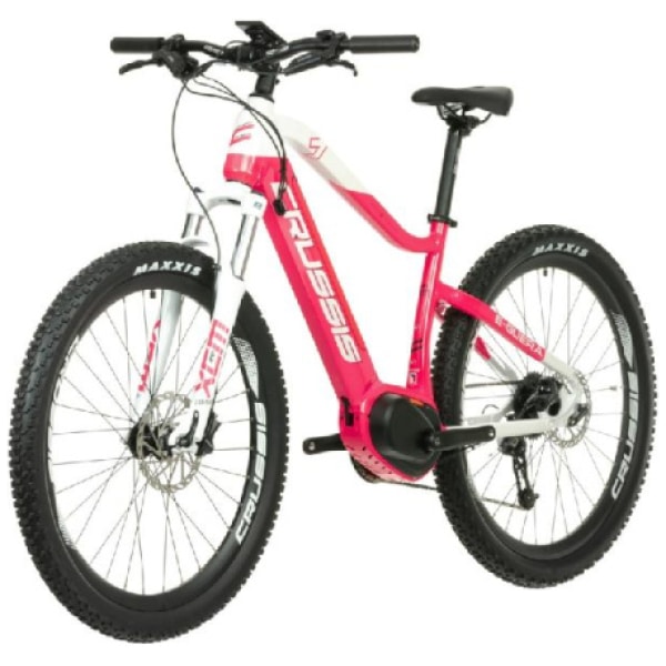 Bafang motor