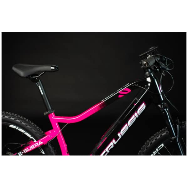 Motor Bafang