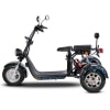 Elektrická Harley kolobežka CityCoco SC09-blesky-zboku